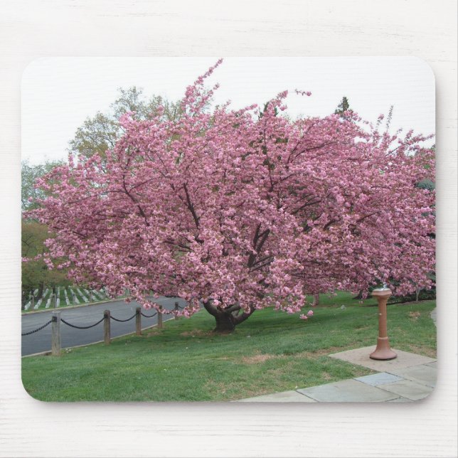 Cherry Tree Mouse Pad (Front)
