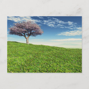 Cherry Tree Postcard