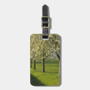 Cherry Trees Luggage Tag