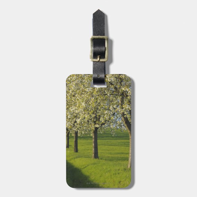 Cherry Trees Luggage Tag (Front Vertical)