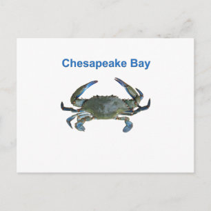 Chesapeake Bay Blue Crab Postcard