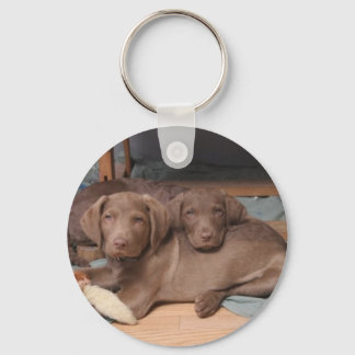 Chesapeake Bay Recover Keychain