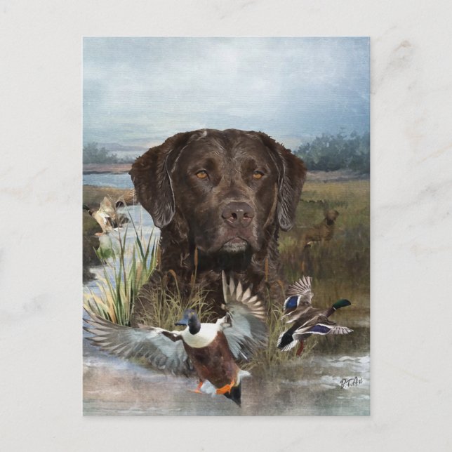Chesapeake Bay Retriever, Art  Postcard (Front)