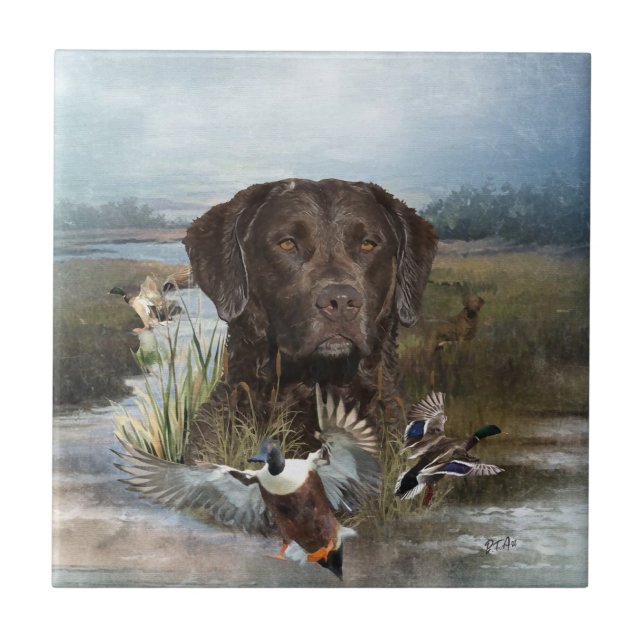 Chesapeake Bay Retriever, Art  Tile (Front)