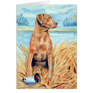 Chesapeake Bay Retriever Cards