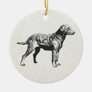 chesapeake bay retriever ceramic ornament