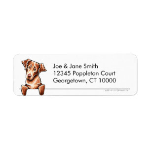 Chesapeake Bay Retriever Clean n Simple