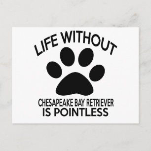 CHESAPEAKE BAY RETRIEVER DESIGNS POSTCARD
