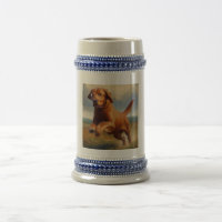 Chesapeake Bay Retriever Dog