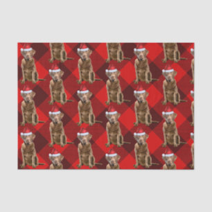 Chesapeake Bay Retriever Dog Christmas Holiday Tissue Paper