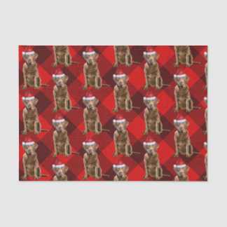 Chesapeake Bay Retriever Dog Christmas Holiday Tissue Paper