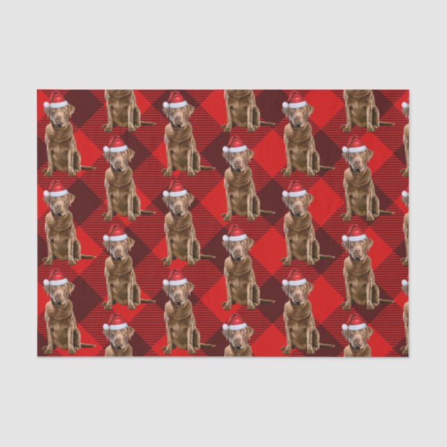 Chesapeake Bay Retriever Dog Christmas Holiday Tissue Paper (Front)