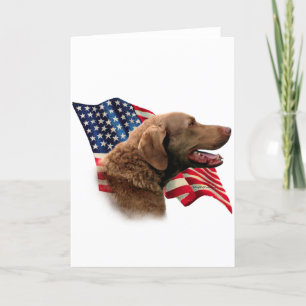Chesapeake Bay Retriever Flag Card