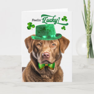 Chesapeake Bay Retriever Lucky St Patrick's Day Holiday Card