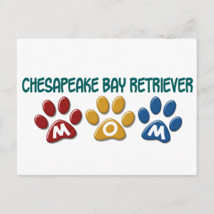 CHESAPEAKE BAY RETRIEVER Mom Paw Print 1 Postcard