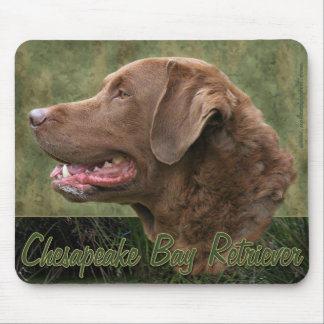 Chesapeake Bay Retriever Mousepad