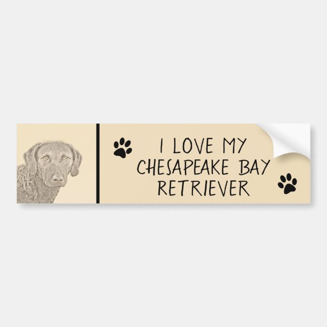 Chesapeake Bay Retriever Painting Original Dog Art Bumper Sticker (Front)