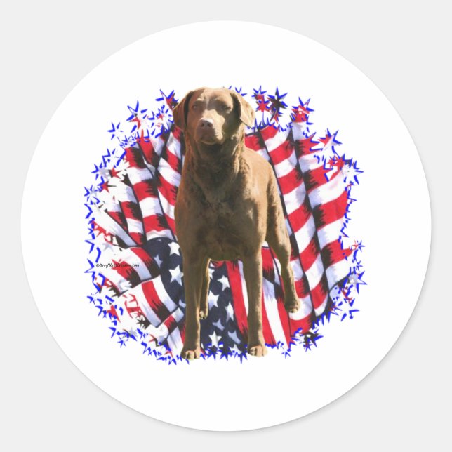 Chesapeake Bay Retriever Patriot Classic Round Sticker (Front)