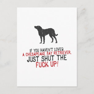 Chesapeake Bay Retriever Postcard