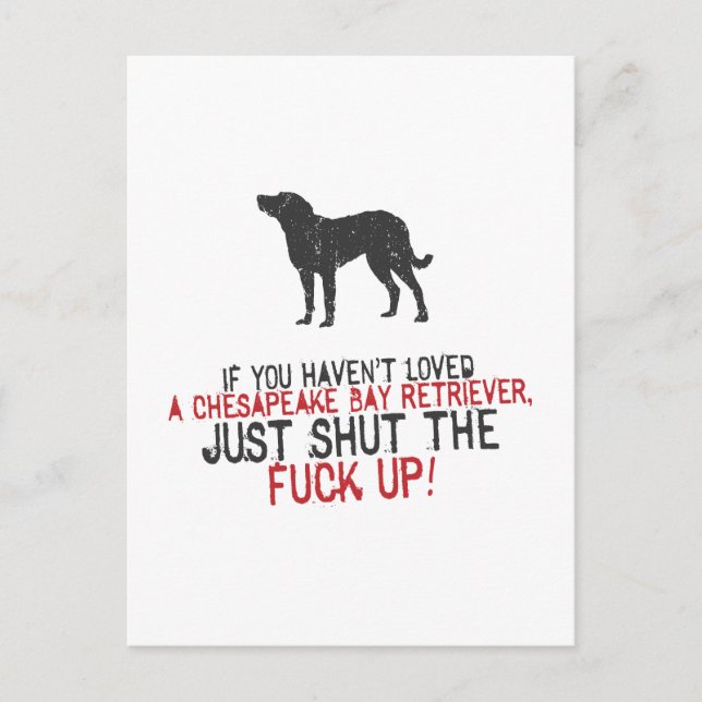 Chesapeake Bay Retriever Postcard (Front)