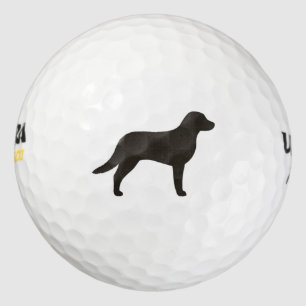 Chesapeake Bay Retriever Silhouette Golf Balls