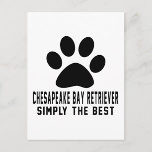 Chesapeake Bay Retriever Simply the best Postcard