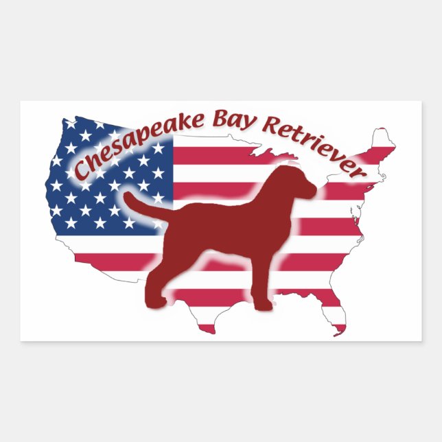 Chesapeake Bay Retriever Sticker (Front)