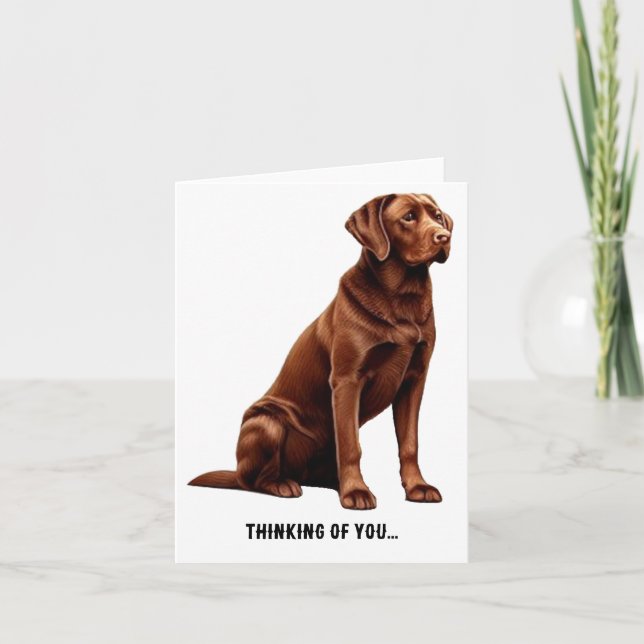 Chesapeake Bay Retriever, Thinking of you... Card (Front)