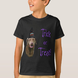 Chesapeake Bay Retriever Trick T-Shirt
