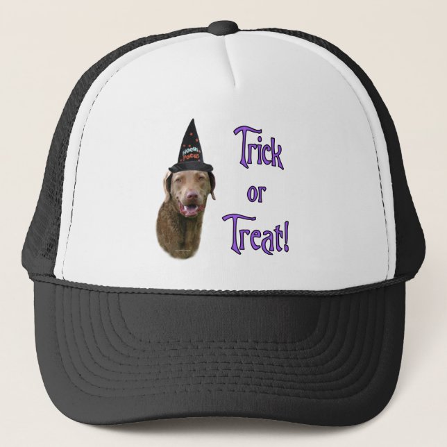 Chesapeake Bay Retriever Trick Trucker Hat (Front)