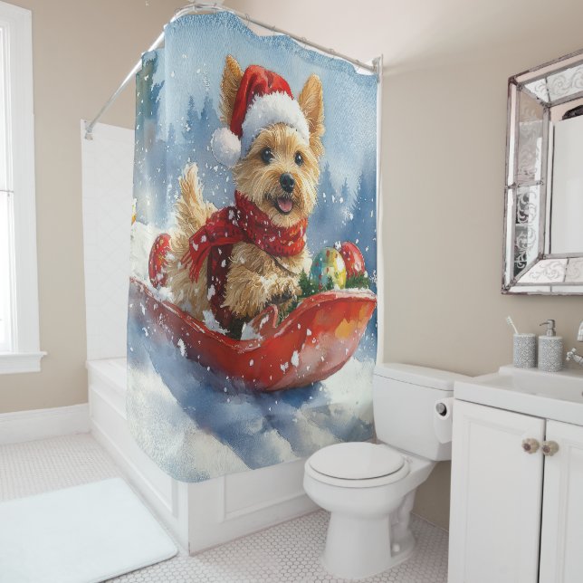 Chesapeake Bay Terrier Dog in Sledge Christmas (In Situ)
