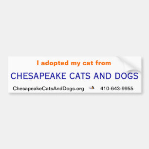 Chesapeake Cats and Dogs Bumper Sticker