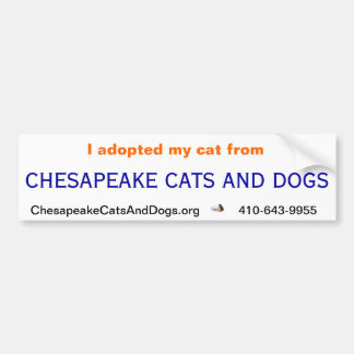 Chesapeake Cats and Dogs Bumper Sticker