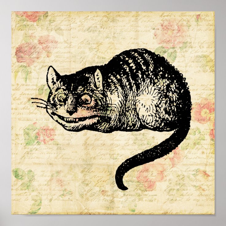 alice in wonderland illustrations cat