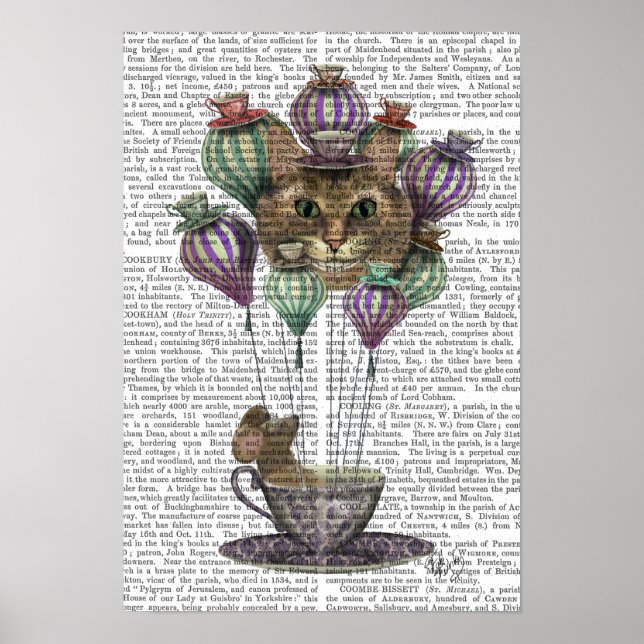 Cheshire Cat Hot Air Balloon Poster (Front)