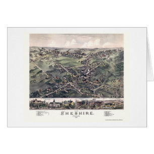 Chesire, carte panoramique de CT - 1882