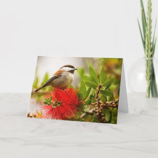 Chesnut-backed Chickadee Thank You Card