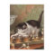Chess Cat postcard