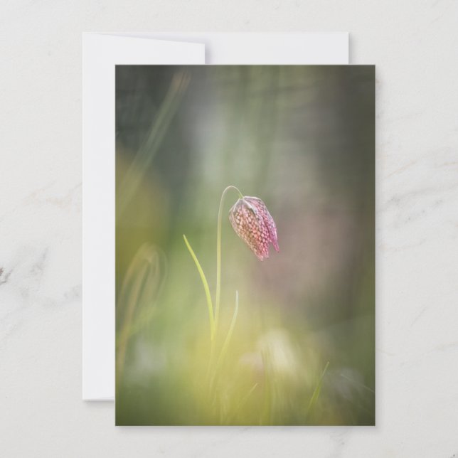 Chess Flower Nature Photo Card (Front)