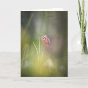 Chess Flower Nature Photo Card