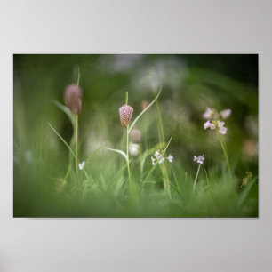 Chess Flower Nature Photo Poster