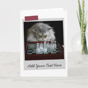 Chess Player Cat Funny Card