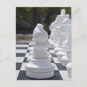 Chess Postcard