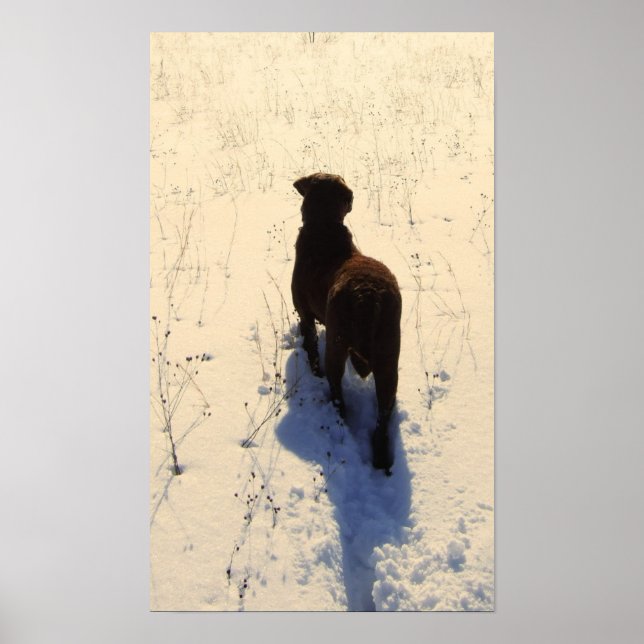 Chessie Poster (Front)