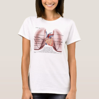 Chest anatomy ladies baby doll shirt