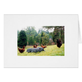 Chester et son armée sur la patrouille