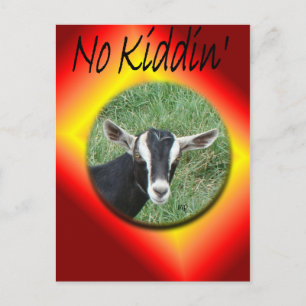 Chester Postcard-customize any occasion Invitation Postcard