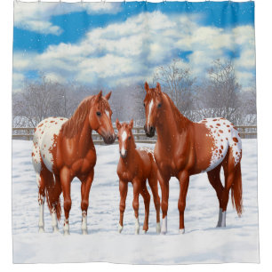 Chestnut Appaloosa Horses In Snow