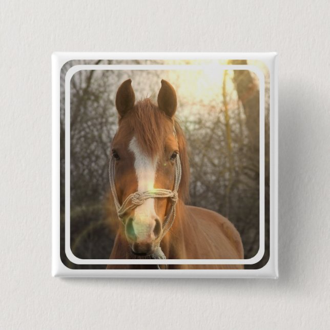 Chestnut Arab Horse Square Pin (Front)