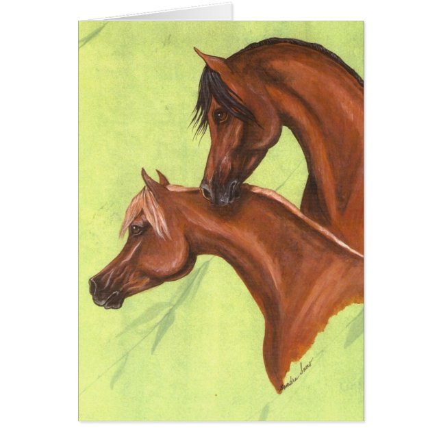 Chestnut & Bay Arabians (Front)